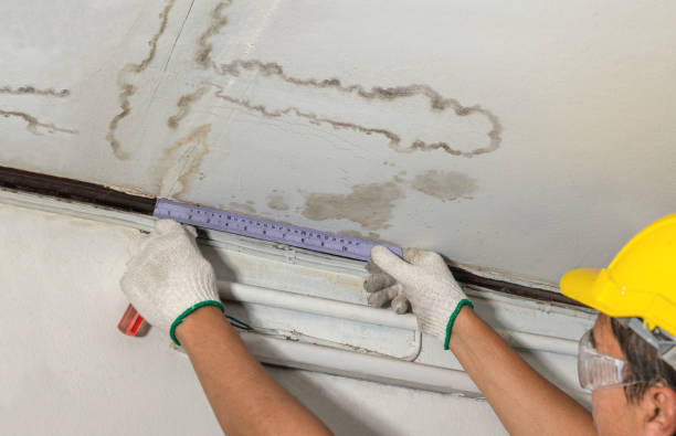 Reliable Burst Pipe Cleanup contractor in Kanaranzi, MN by Water Damage Irwin